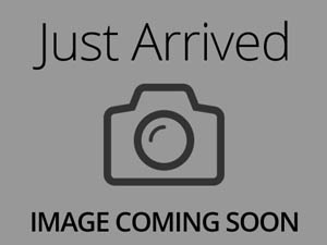 French Bulldog-DOG-Male-cr-