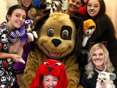 Puppy Parties | Animal Kingdom | Puppies N Love | Arizona