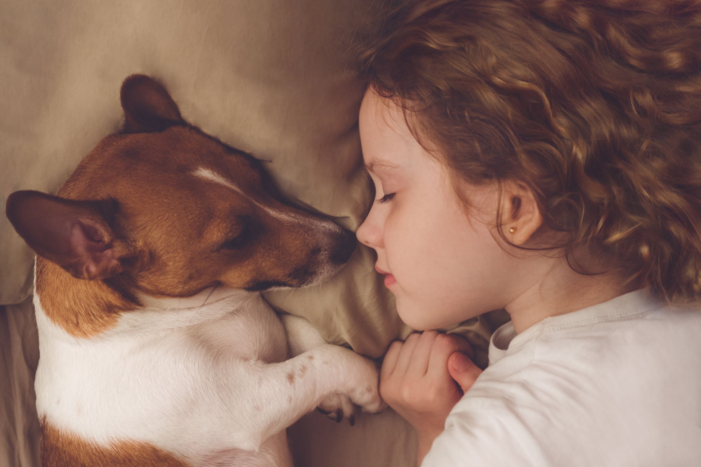 dog and human sleeping together