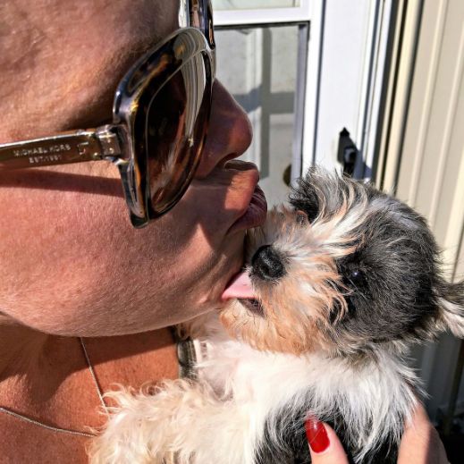 Puppies 'N Love & Animal Kingdom Animal Health Director Michelle L. smooching a puppy