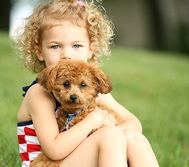 child with a tan poodle puppy