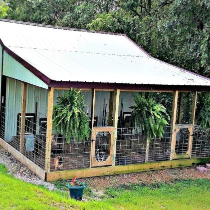 Exterior look at indoor/outdoor kennels