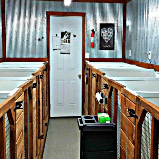 Indoor portion of indoor/outdoor kennels