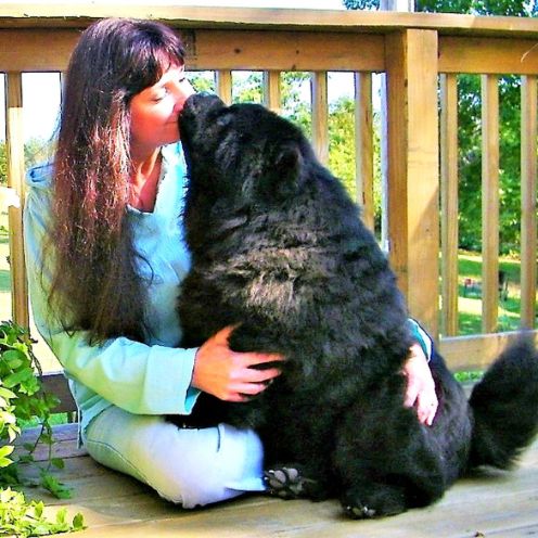 Connie and her Chow Chow