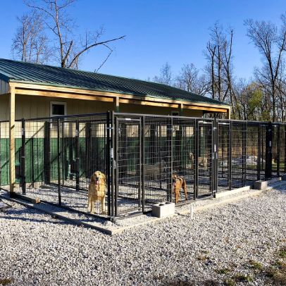 Dogs have spacious indoor/outdoor kennels