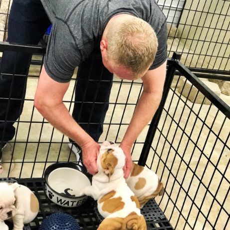 DaPuppies 'N Love & Animal Kingdom Owner Frank Mineo Jr. Plays with Puppies wn14