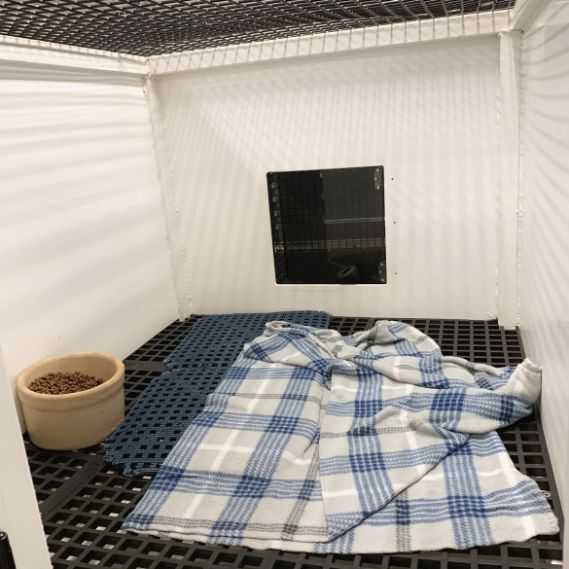 Indoor Kennel