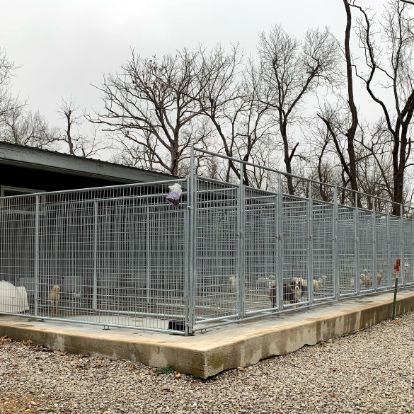 Exterior of kennels