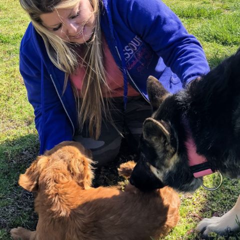 Michelle L . from Puppies 'N Love on 2018 breeder trip