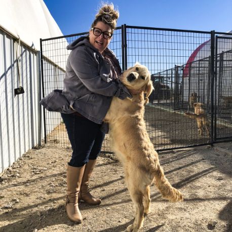 Dogs have expansive indoor/outdoor kennels