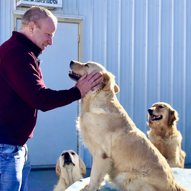 Frank Mineo Jr. playing with dogs