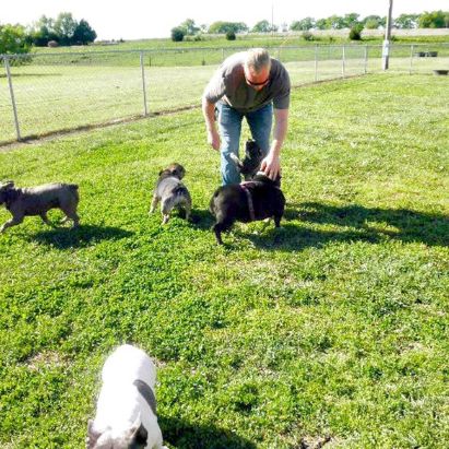 Puppies 'N Love & Animal Kingdom owner Frank Mineo Jr. playing with dogs in open yard