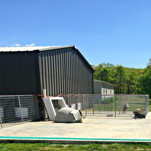 Outdoor play yard connected to indoor/outdoor kennels