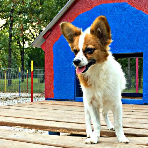 Having fun during playtime