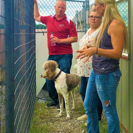 Puppies 'N Love and Animal Kingdom owner Frank Mineo Jr., Animal Health Director Michelle L and Jennifer tour her property