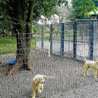 Outdoor play yard