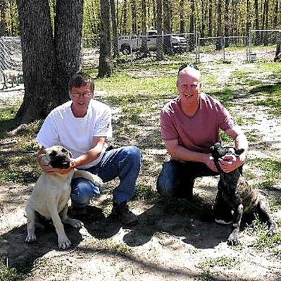 Puppies 'N Love & Animal Kingdom owner Frank Mineo Jr. visiting Judy's kennels
