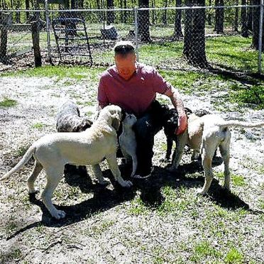 Frank Mineo Jr. playing in yard with dogs