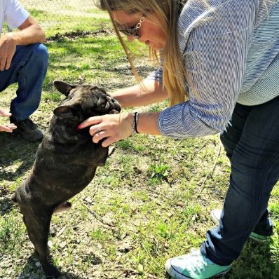 Michelle L. playing with adult French Bulldog