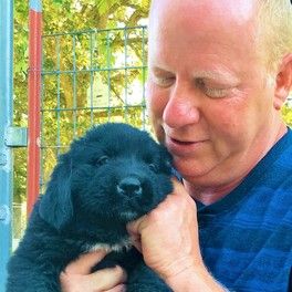 Animal Kingdom and Puppies 'N Love owner Frank Mineo Jr. with a Newfie puppy