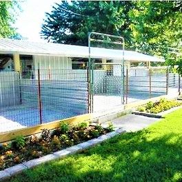 A view of the whelping center with outdoor access for the mothers