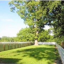 One of Judy and Dave's spacious kennels