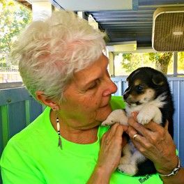 Kennel owner, Judy, cuddles one of her Newfoundland puppies