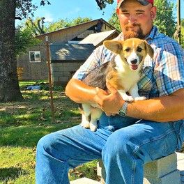 The family Corgi