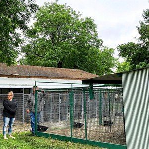 Exterior Look at Kennels