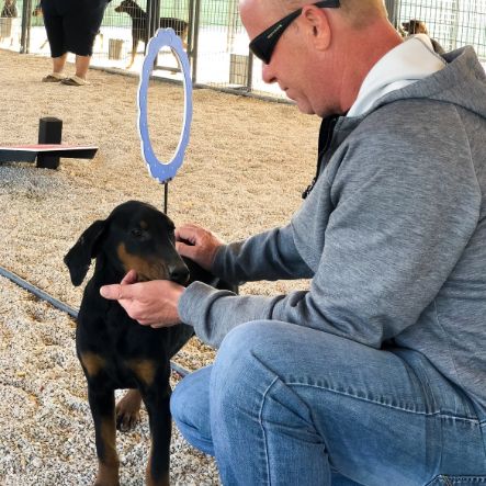 Puppies 'N Love owner Frank Mineo on 2018 breeder trip