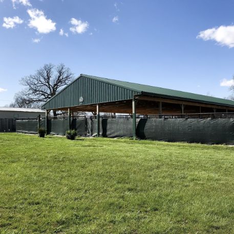 Outdoor exercise area for adult dogs