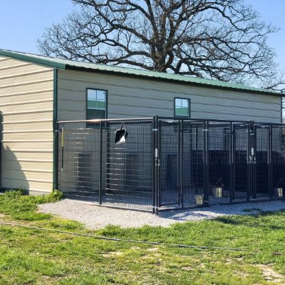 Michelle's indoor/outdoor kennels for dogs