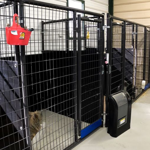 Indoor portion of indoor/outdoor kennels