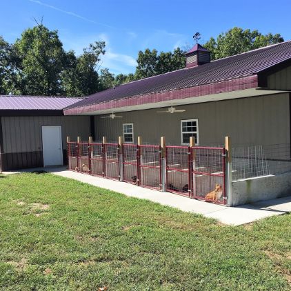 Exterior look at Monica's kennels