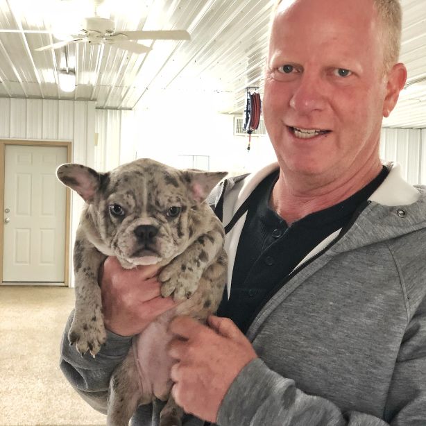 Frank Mineo Jr., CEO of Puppies 'N Love, holds adult French Bulldog