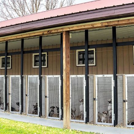 Indoor/Outdoor kennels for adult dogs