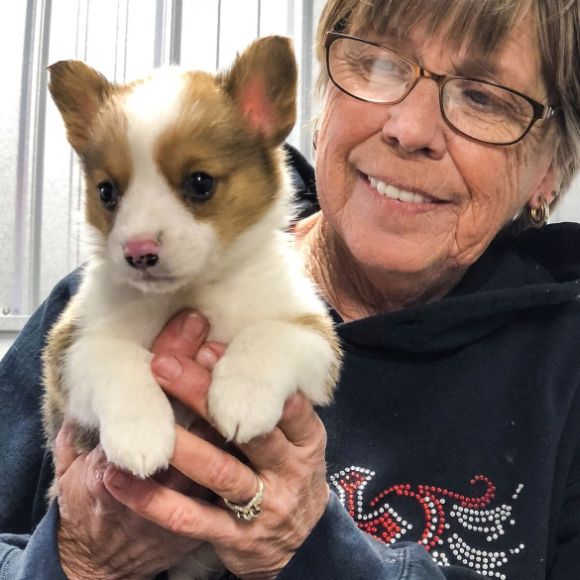 Pam with her puppies