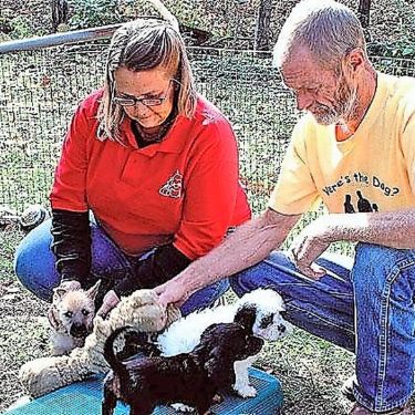 Pam and Bob playing outside with dogs