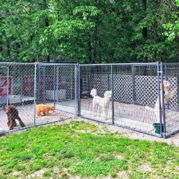 Outdoor Kennels