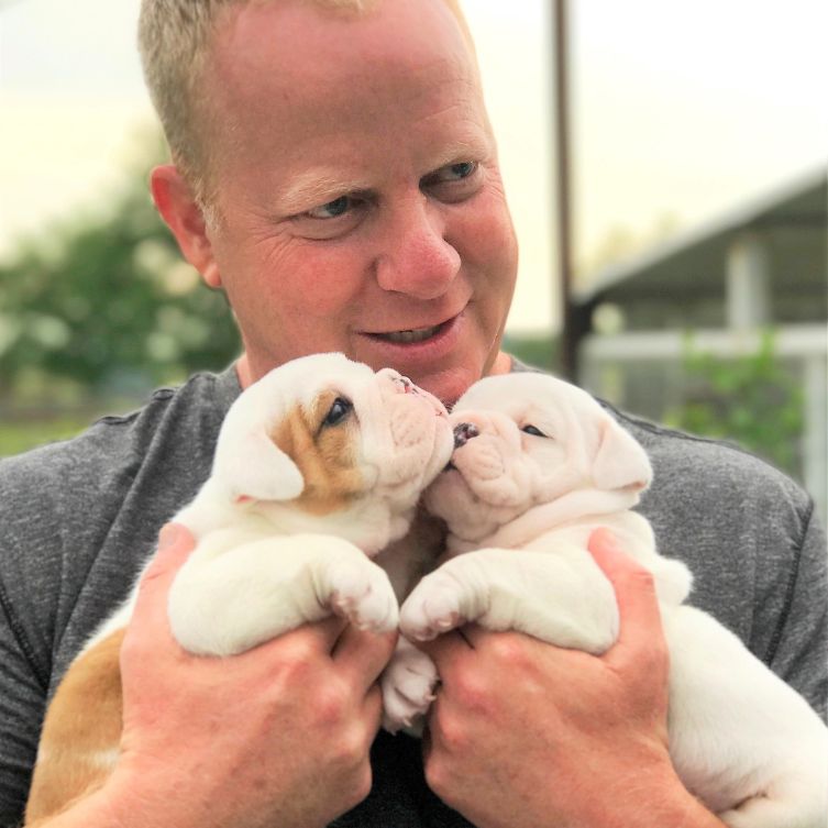 Frank Mineo Jr. Cuddles with English Bulldog Puppies