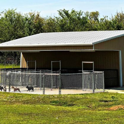 Exterior of kennel's other side