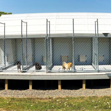 Above ground indoor/outdoor kennel