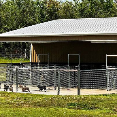 Exterior of side 1 of indoor/outdoor kennel