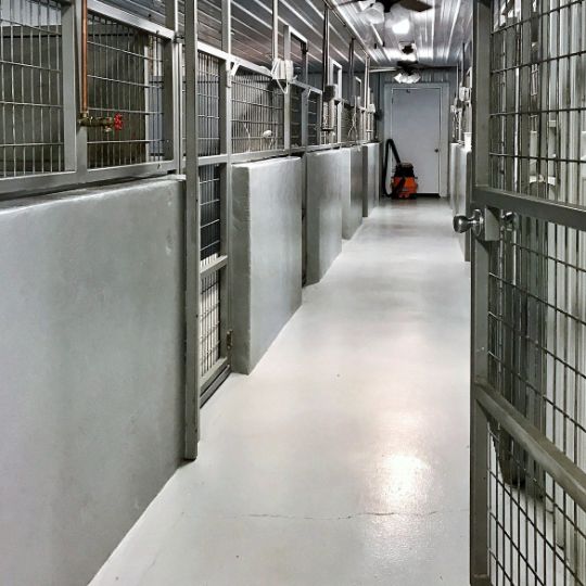 Indoor Kennels