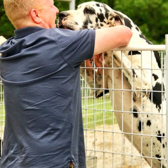 Frank Mineo Jr. Standing With Huge Great Dane