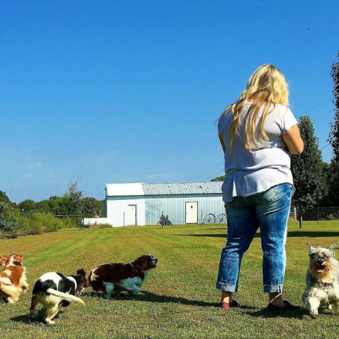 Puppies 'N Love & Animal Kingdom Animal Health Director Michelle L. plays with dogs outdoors