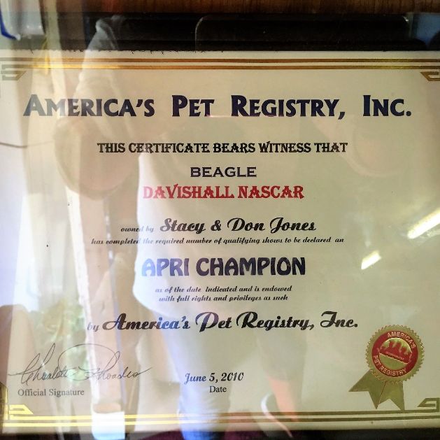 Stacy breeds award winning dogs