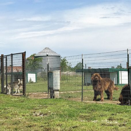 Outside of kennels