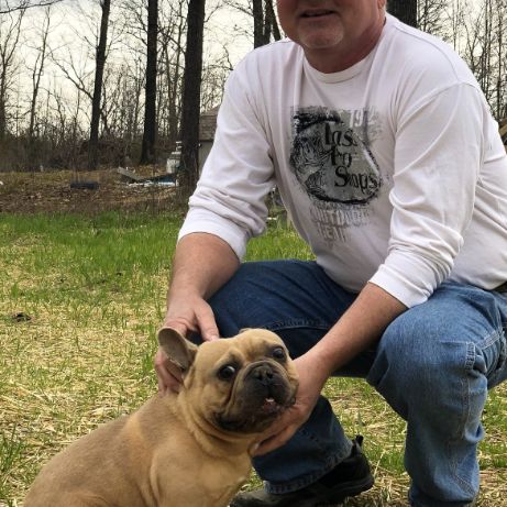 Jim (breeder) with one of his adult bulldogs