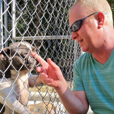 Frank Mineo Jr. visits dogs in kennels